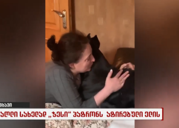 ჯესი ადამიანივით ტირის, როცა პატრონს ელოდება – ემოციური ვიდეო