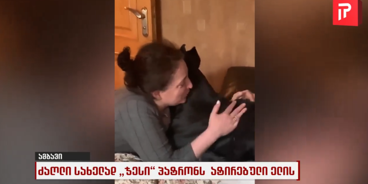 ჯესი ადამიანივით ტირის, როცა პატრონს ელოდება – ემოციური ვიდეო