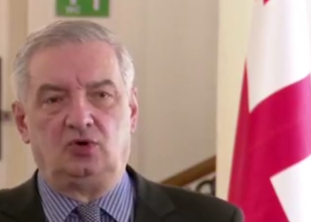 სულაც არ ენაღვლებათ მგონი რურუა – გია ვოლსკი ოპოზიციაზე