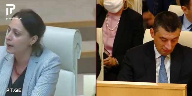 „გადაეცით მაგ თქვენ სუს-ს ფეხებზე გვკიდია,” – ელენე ხოშტარია გიორგი გახარიას მიმართავს