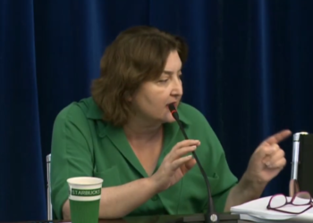 თქვენ გაქვთ მაღალი სტანდარტის ვარცხნილობა, მაგრამ არავითარი მორალური და ზნეობრივი უფლება, ისაუბროთ ადამიანის უფლებებზე – ადა მარშანია სალომე სამადაშვილს