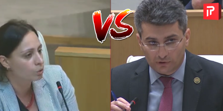 ელენე ხოშტარია VS მამუკა მდინარაძე