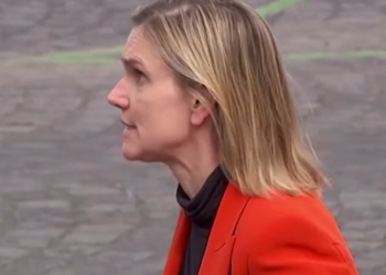 ფრანგი მინისტრის რეაქცია, როცა აღმოაჩინა რომ პირბადე მანქანაში დარჩა – პარიზში, ბასტილიის აღების დღეზე