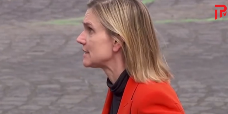 ფრანგი მინისტრის რეაქცია, როცა აღმოაჩინა რომ პირბადე მანქანაში დარჩა – პარიზში, ბასტილიის აღების დღეზე