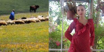 როგორ მოიქცა მწყემსი, როცა მინდორში თამარ ბაჩალიაშვილის მანქანა დაინახა – მწყემსის დედის პირველი კომენტარი