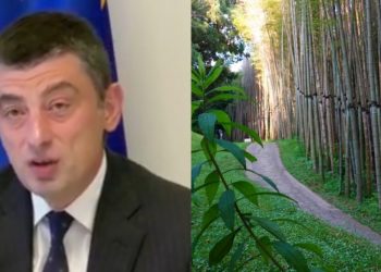 მიუხედავად 3 წლის ცილისწამებისა, მაინც სიმართლემ გაიმარჯვა – გახარია ახალ დენდროლოგიურ პარკზე