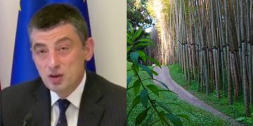 მიუხედავად 3 წლის ცილისწამებისა, მაინც სიმართლემ გაიმარჯვა – გახარია ახალ დენდროლოგიურ პარკზე