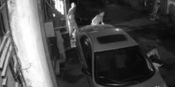 უმძიმესი კადრები – 67 წლის ქალს ძაღლმა მძიმე დაზიანებები მიაყენა – პაციენტის მდგომარეობა კრიტიკულია