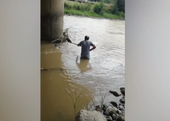 კაცმა თვეების ლეკვი მდინარეში დახრჩობას გადაარჩინა