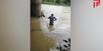 კაცმა თვეების ლეკვი მდინარეში დახრჩობას გადაარჩინა