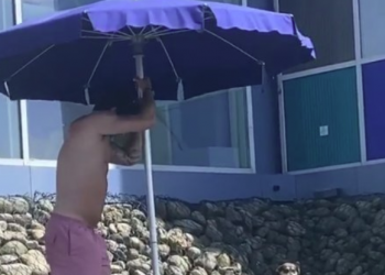 ზღვის სანაპიროზე კალაძე ძაღლის გაგრილებაზე ზრუნავს