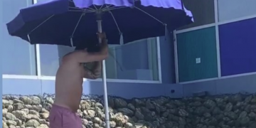 ზღვის სანაპიროზე კალაძე ძაღლის გაგრილებაზე ზრუნავს