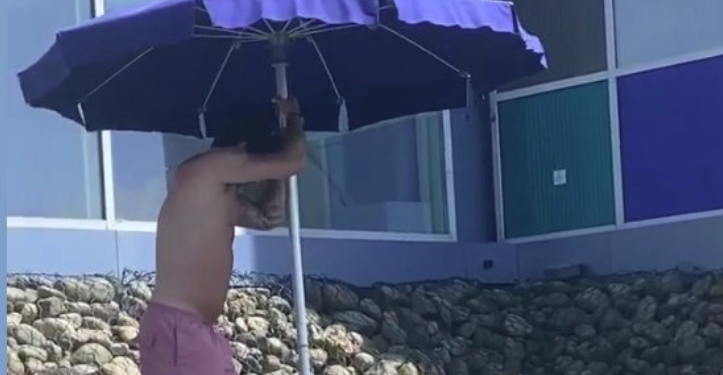 ზღვის სანაპიროზე კალაძე ძაღლის გაგრილებაზე ზრუნავს