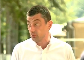 გიორგი გახარია სტიქიის ზონაში ჩავიდა