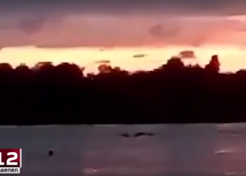 სამეგრელოში 15 წლის მოზარდს ეძებენ  – მისი ადიდებულ მდინარეში შესვლა მეგობრებმა გადაიღეს