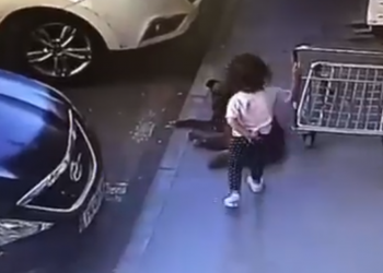 „სასიკვდილო განაჩენისთვის ძალიან ცოდოა“ – ძაღლის შესახებ, რომელმაც ბავშვს კბილი გაკრა, ელიზბარაშვილის თავშესაფარი განცხადებას ავრცელებს