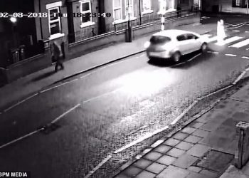 ახალგაზრდა ქალი 61 წლის მამამთილს ზებრაზე დაეჯახა და ადგილიდან მიიმალა