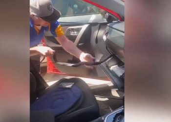 ქალი შოკში ჩავარდა, როცა ეს ნახა საკუთარ მანქანაში