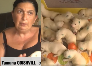 ვინ არის ქართველი ქალი, რომელსაც კორეული მედია აშუქებს 