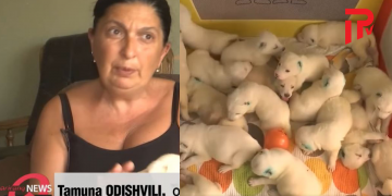 ვინ არის ქართველი ქალი, რომელსაც კორეული მედია აშუქებს 