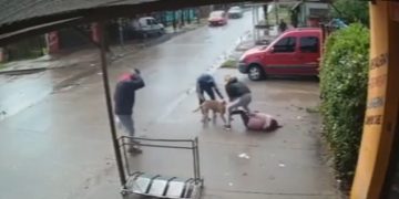 შემზარავი შემთხვევა – აგრესიული პიტბული 7 წლის ბავშვს თავს დაესხა