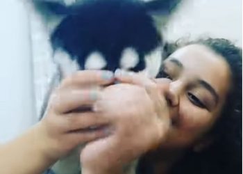 ემოციური ვიდეო: გარდაცვლილი 16 წლის ელენე საყვარელ ძაღლთან ერთად – “გაყინულ გულს რა ვუშველოთ?”