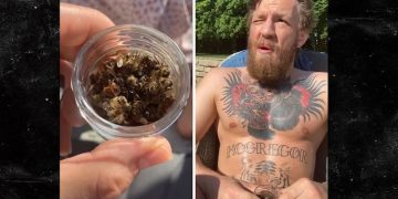 კონორ მაკრეგორი მკვდარ ფუტკრებს ჭამს