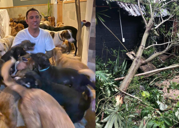 მამაკაცმა ქარიშხლისგან დასაცავად სახლში 300–ზე მეტი ცხოველი შეიფარა (მექსიკა)