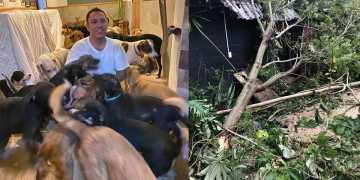 მამაკაცმა ქარიშხლისგან დასაცავად სახლში 300–ზე მეტი ცხოველი შეიფარა (მექსიკა)