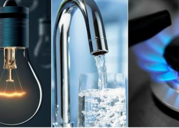 დენისა და გაზის გადასახადი 4 თვის განმავლობაში კვლავ აგინაზღაურდებათ