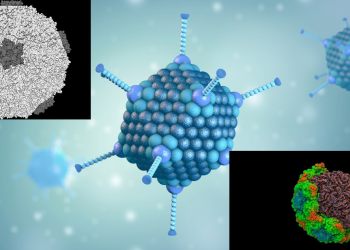 ადენოვირუსი, რინოვირუსი – რომელი ვირუსები ცირკულირებს საქართველოში