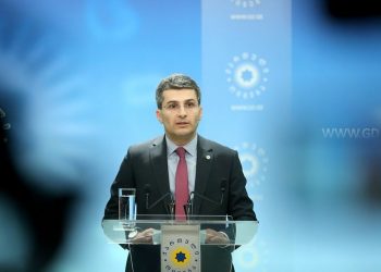 მამუკა მდინარაძის ბრიფინგი