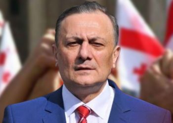 არ მოგვაბეზროს თავი პრემიერ-მინისტრობით და პოლიტიკური მითითებებით – ნათელაშვილი სააკაშვილზე