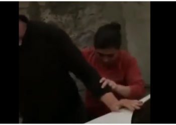 დაპირისპირება ცხოველთა დამცველებსა და ძაღლის მეპატრონეს შორის