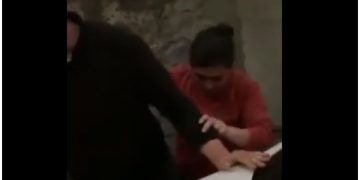 დაპირისპირება ცხოველთა დამცველებსა და ძაღლის მეპატრონეს შორის