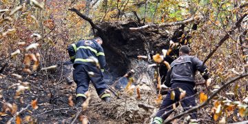 ოთხდღიანი სამუშაოების შემდეგ სვანეთში გაჩენილი ხანძარი ლიკვიდირებულია
