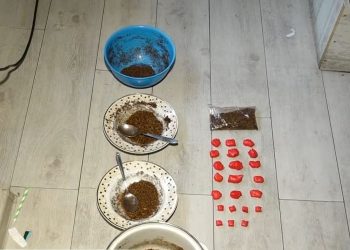 28 წლის მამაკაცმა ნაქირავებ ბინაში კუსტარულად ე.წ „ბიო“ დაამზადა – ნარკოდანაშაულისთვის 2 პირი დააკავეს