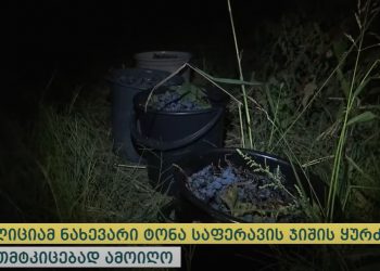 Video: ნახევარი ტონა ყურძნის ქურდობა კახეთში – პოლიციამ 4 ადამიანი დააკავა