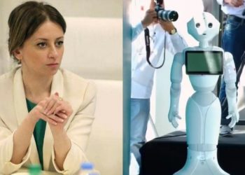 ჯანდაცვის მინისტრის თქმით, რობოტი „პეპერი“ მხოლოდ ტელემედიცინის სიმბოლოა და მას კლინიკებში ვერ ვნახავთ