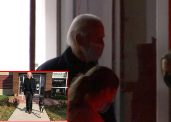 ჯო ბაიდენმა ძაღლთან თამაშის დროს ტერფი იღრძო