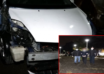 33 წლის მამაკაცი მანქანებს ქირაობდა და ნაწილებად ყიდდა – პოლიციამ ბრალდებული დააკავა