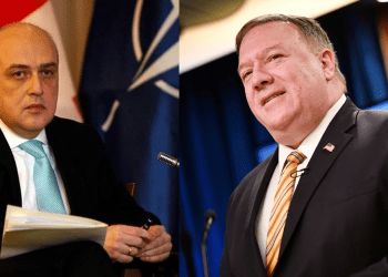 საქართველოს დასახმარებლად 132 მილიონი აშშ დოლარი განისაზღვრა – დავით ზალკალიანი