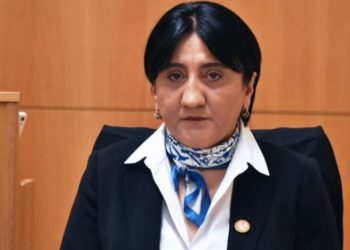 „პატრიოტთა ალიანსმა“ მანდატებზე უარი თქვა