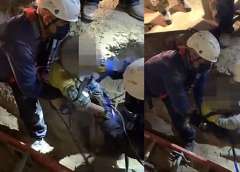 მაშველებმა 4 წლის ბავშვი სასწაულებრივად გადაარჩინეს 