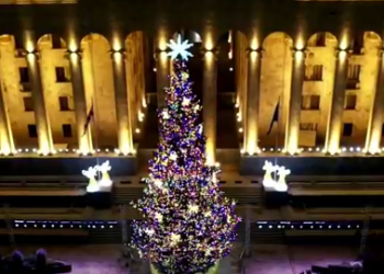 რუსთაველზე ნაძვის ხე საზეიმოდ აინთო