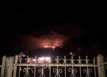 ზუგდიდში ხანძარმა თხილის და მოცვის პლანტაციები გაანადგურა