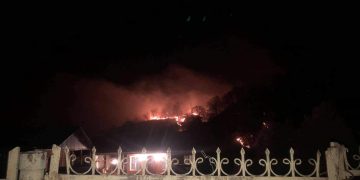 ზუგდიდში ხანძარმა თხილის და მოცვის პლანტაციები გაანადგურა