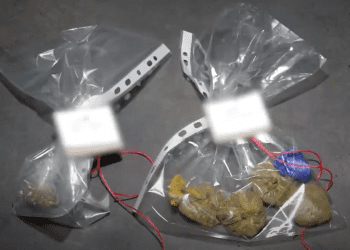 თბილისში ნარკოდანაშაულისთვის ცოლ-ქმარი დააკავეს