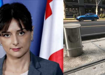 „ნაგვის ურნები, რომელიც ჭავჭავაძეზეა, აქვთ უნარი ამოიცნონ ვინ ყრის ნარჩენს“ – თბილისის მერის მოადგილე