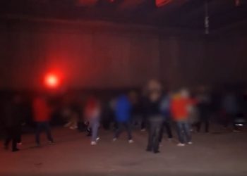 ღამის კლუბი და ასამდე სტუმარი – შრომის ინსპექციამ მოქალაქე 2000 ლარით დააჯარიმა